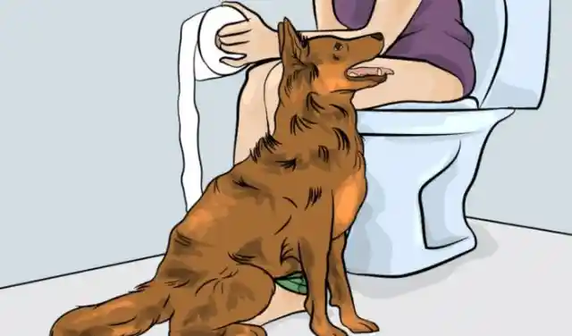 This Is Why Dogs Follow You Into The Bathroom and Other Weird But Adorable Dog Habits Explained