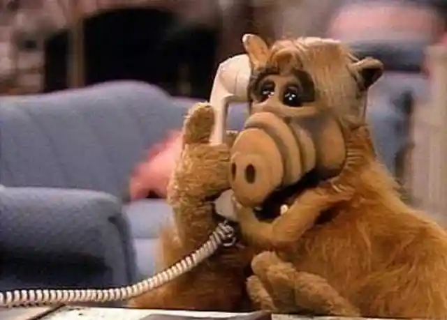 25 Fun Facts About ALF