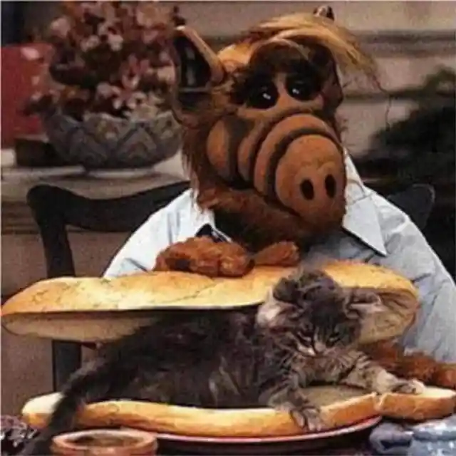 Out Of This World! Behind The Scenes With ALF