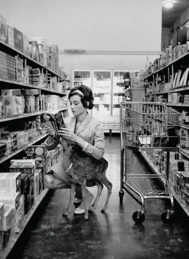 Audrey Goes Shopping, 1959