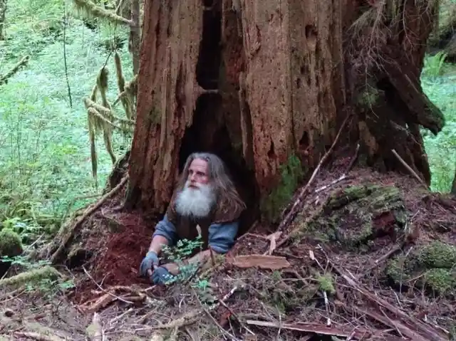Ex-Marine Gave Up Modern Life And Disappeared Into The Forest To Live ‘Off The Grid’