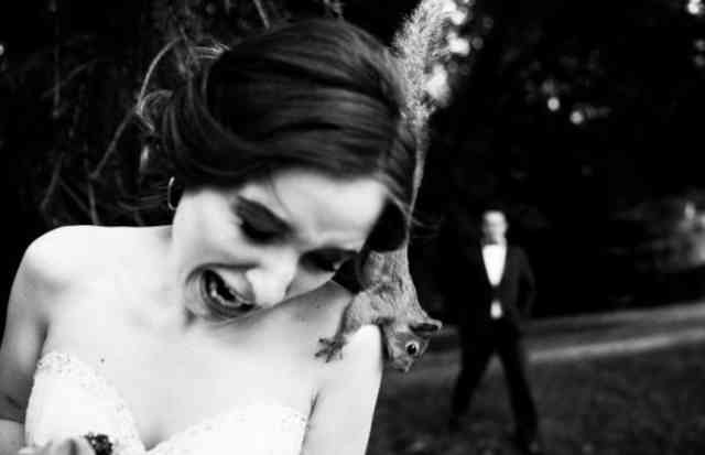 These Must Be The Most Hilarious Wedding Day Photo Fails