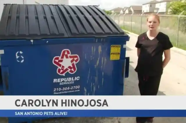 Man Hears Sounds Coming From A Dumpster, Then Sees Something Moving