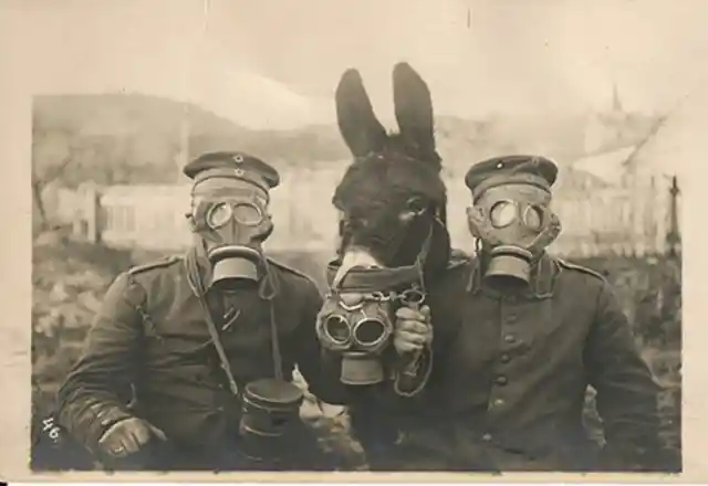 30. Two German soldiers and their donkey wear gas masks.