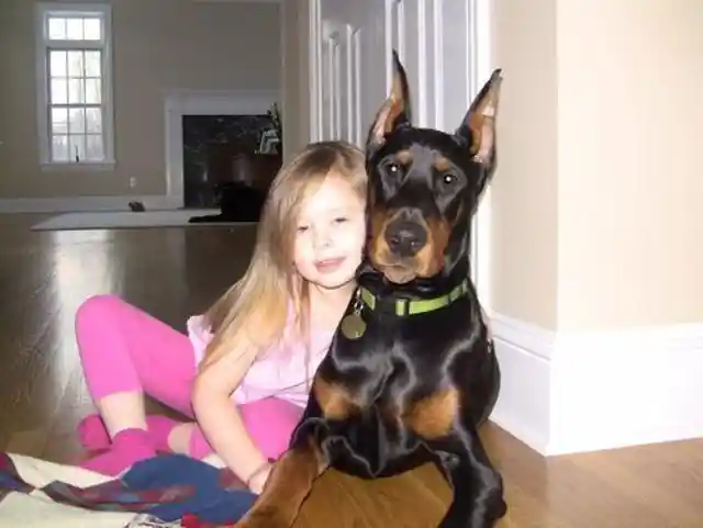 The Doberman Wasn’t Moving And Catherine Immediately Got Medical Help