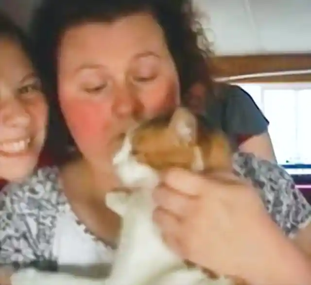Heavy Cat Bites Woman’s Face, Doctors Race To Save Her Life