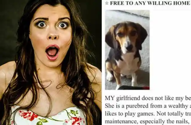 Man Has To Pick Between Girlfriend And Dog, His Response Goes Viral