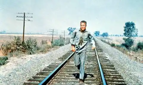 Little Known Facts About The Iconic Film "Cool Hand Luke"