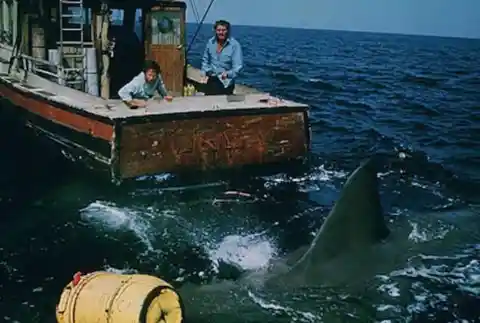 25 Incisive Facts About 'Jaws'