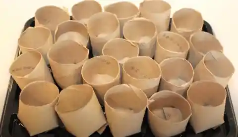 Toilet Paper Roll Planters