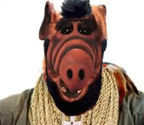 25 Fun Facts About ALF