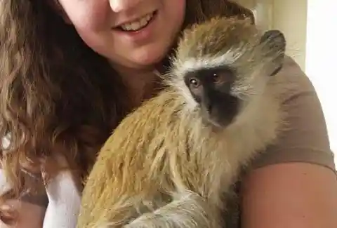 Orphaned Baby Monkey Meets Two Tiny Cats With The Most Surprising Results