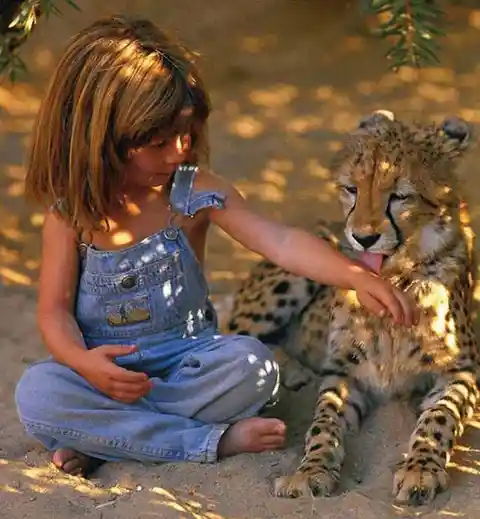 Little Girl Named 'Tippi' Was Raised Among Ferocious Beasts In Africa