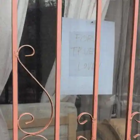 Sad Dog Stared Out The Window Every Day Until His Owner Wrote The Neighbor An Unbelievable Note
