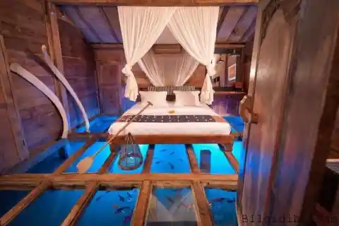 The Glass Floor Udang House