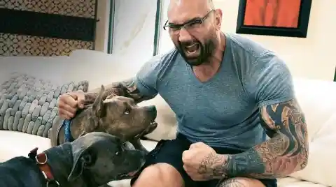 Dave Bautista of Guardians of the Galaxy Adopts Bonded Pit Bulls