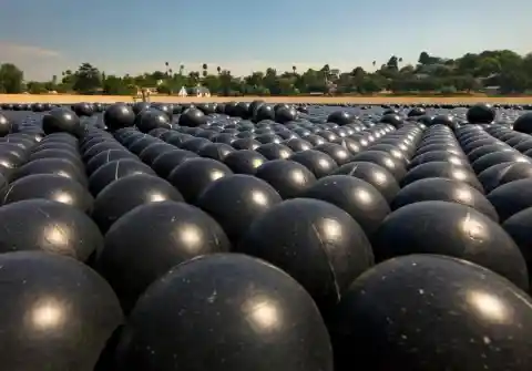 Here's Why A Las Vegas Lake Is Covered In 96 Million Floating Black balls