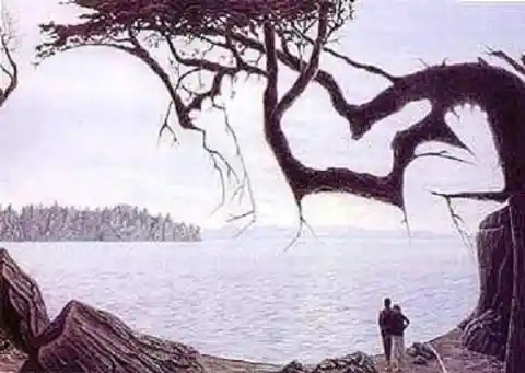 The Most Surreal Optical Illusions That Will Tickle Your Brain