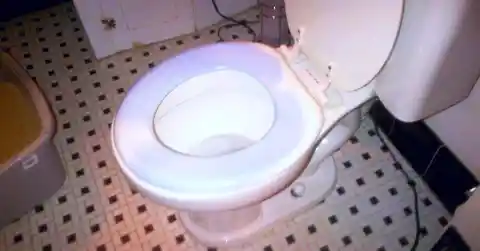 Woman Thought She Was Bloated, Then Looks In The Toilet